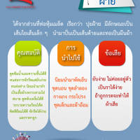 คุณสมบัติ-การนำไปใช้-และข้อเสียของผ้าฝ้าย